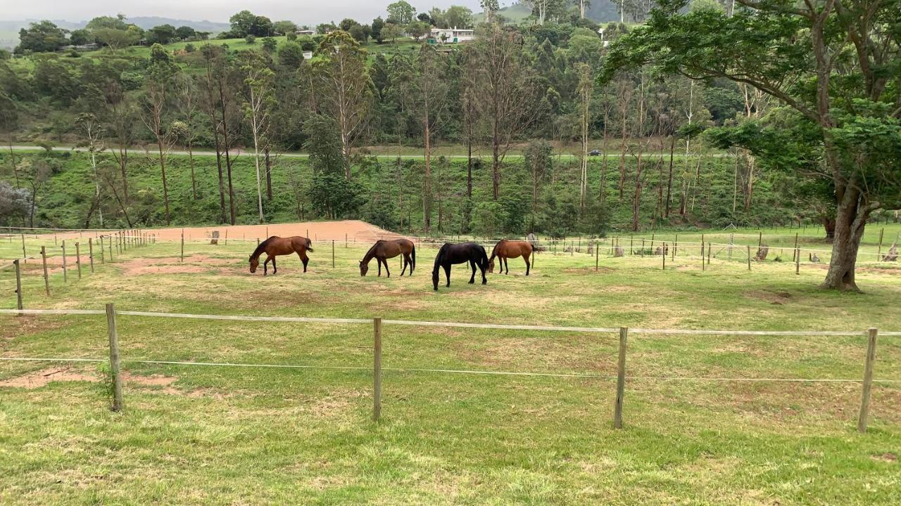 Cavalo Guesthouse & Equestrian Estate Drummond Exterior photo